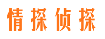 滨海市侦探公司